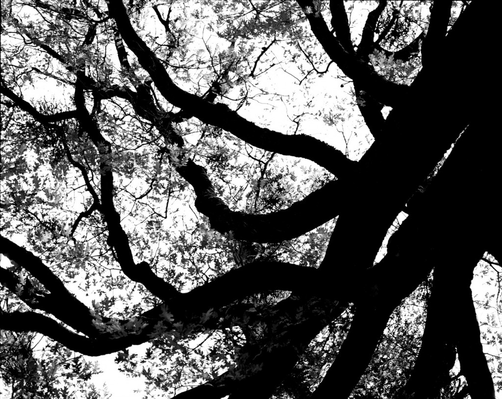 Futura Muestra Sin titulo_3