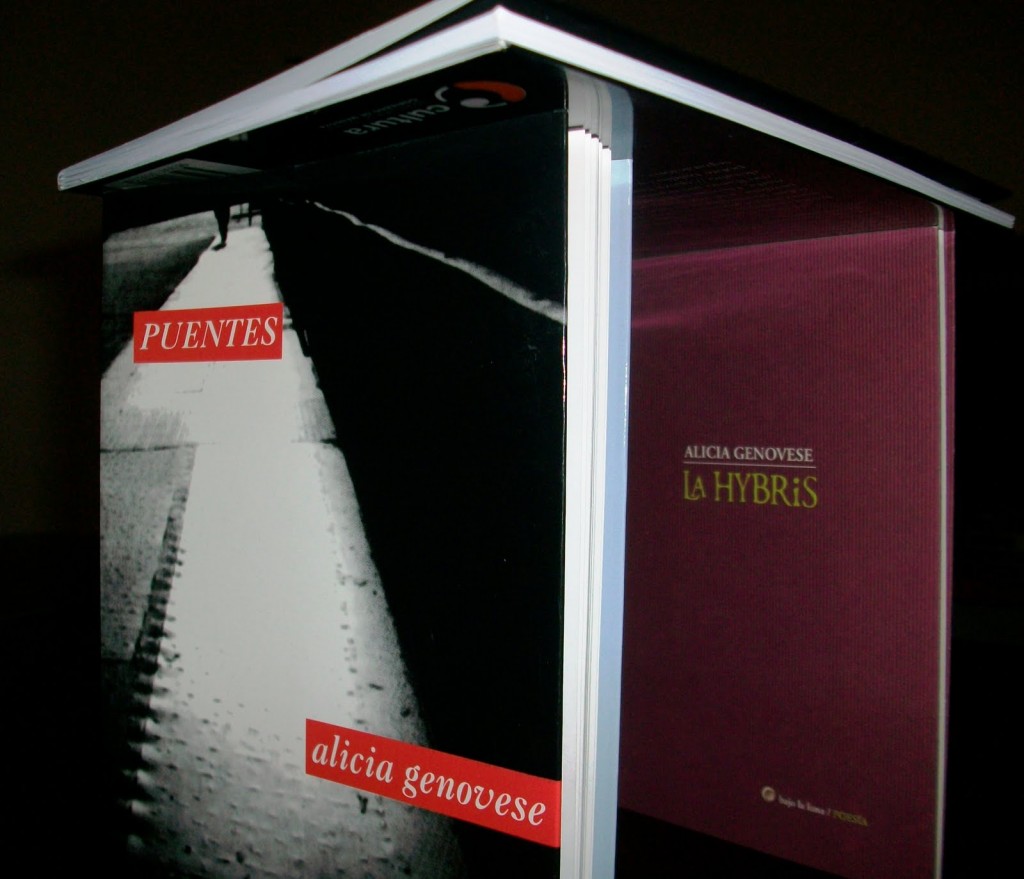 Puentes 2