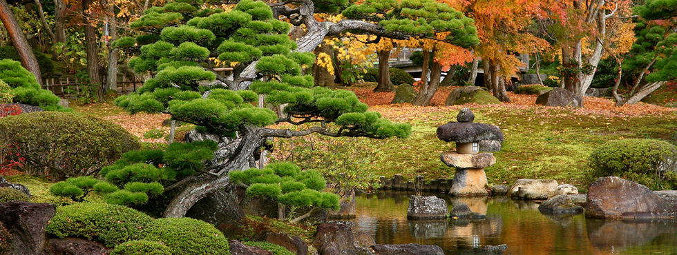 grf-concepto-jardin-japones